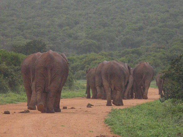 Botswana, Namibia, Südafrika 2 - 