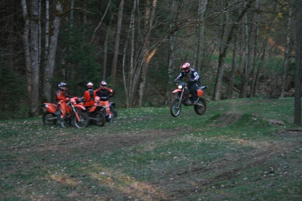 Meine KTM's - 