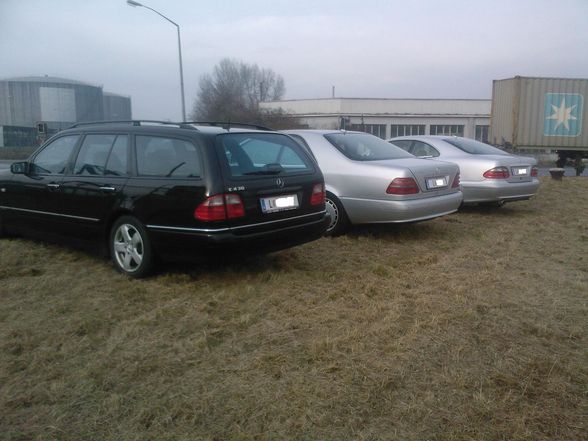 BENZ GANG *gg* - 