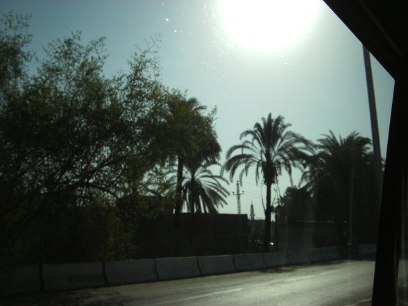 Urlaub 2010 Ägypten - 
