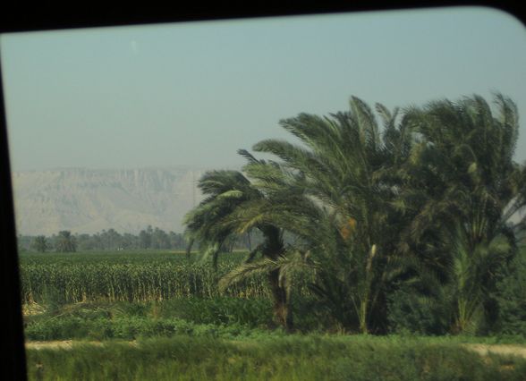 Urlaub 2010 Ägypten - 