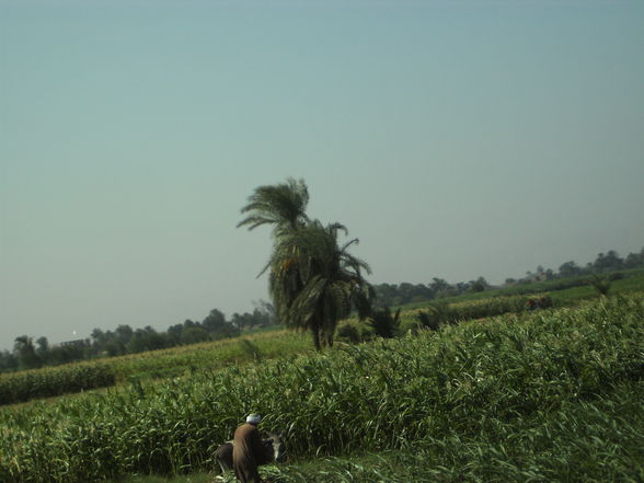 Urlaub 2010 Ägypten - 