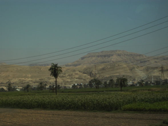 Urlaub 2010 Ägypten - 