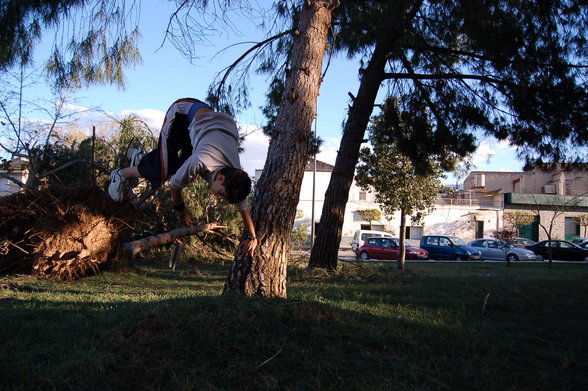 Le Parkour - 