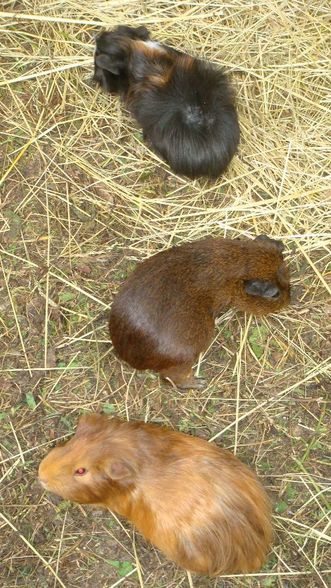 Ausflüge mit meinem Schatz  - 