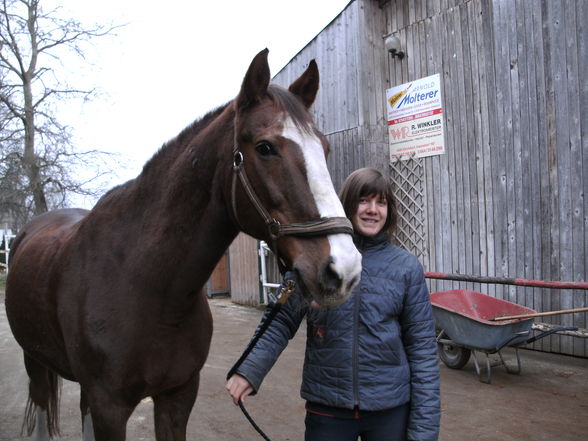 Meine Pflegepferd! - 