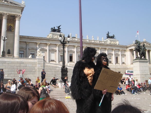 Schülerstreik in Wien am 24.04.2009 - 