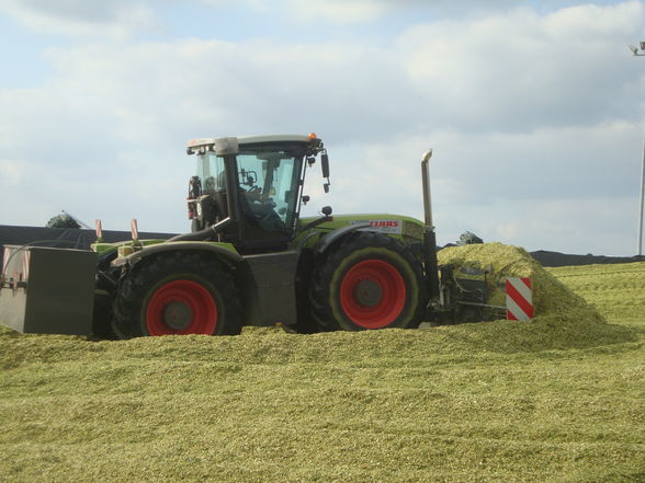 Häckseln in Norddeutschland  - 