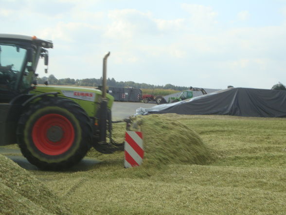 Häckseln in Norddeutschland  - 