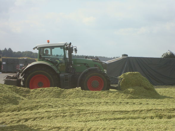 Häckseln in Norddeutschland  - 