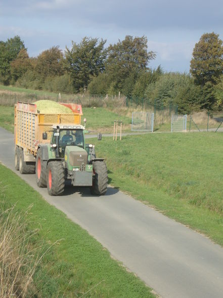 Häckseln in Norddeutschland  - 