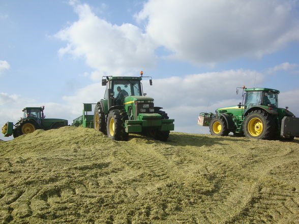 Häckseln in Norddeutschland  - 