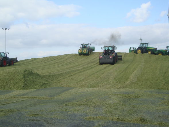 Häckseln in Norddeutschland  - 