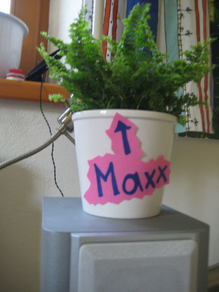 maxx mein neuer mitbewohner - 