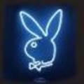 playboy hasal!! - 