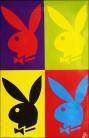 playboy hasal!! - 