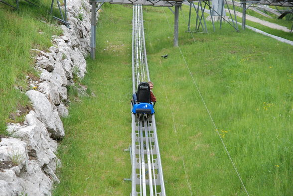 Sommerrodel&Alpin Coaster Hase und Ich - 