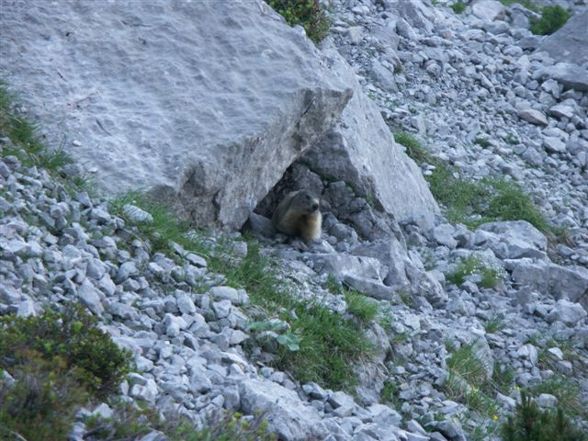 Klettern am Dachstein - 