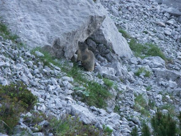 Klettern am Dachstein - 