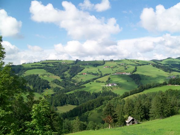 Meine wunderschöne Heimat - 