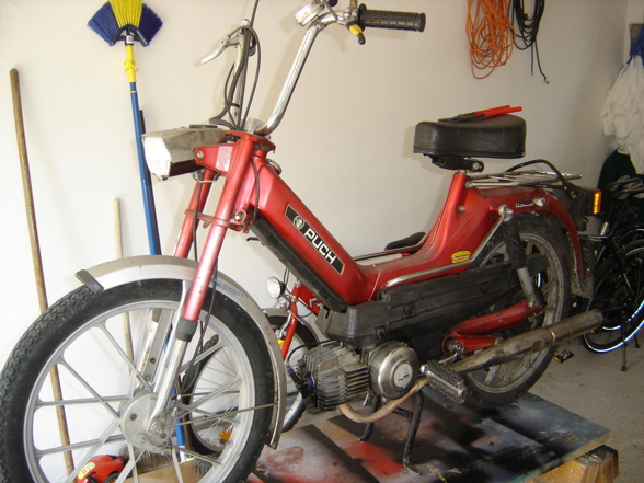 Mein Puch Maxi - 