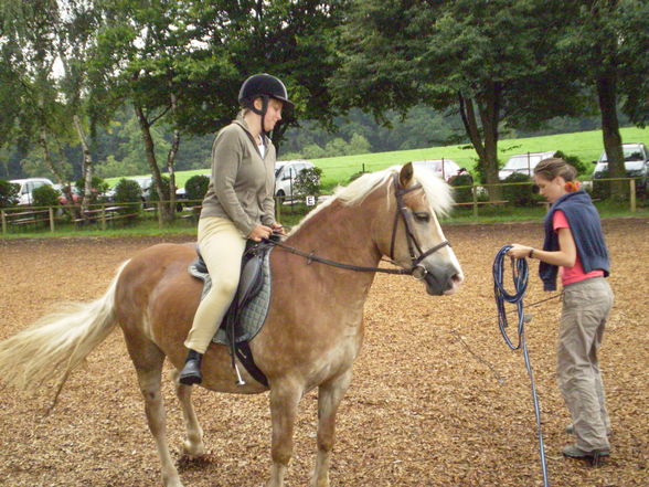 Reiten - 