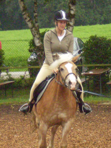 Reiten - 