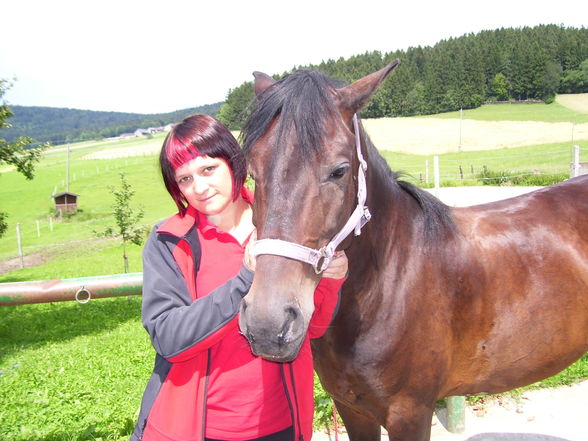 Mein Pferd Nadia - 