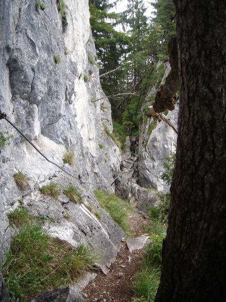 Predigtstuhl Klettersteig - 