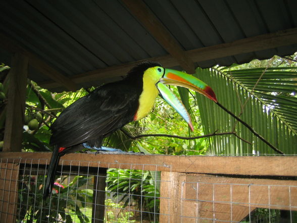 Costa Rica 2007 - 