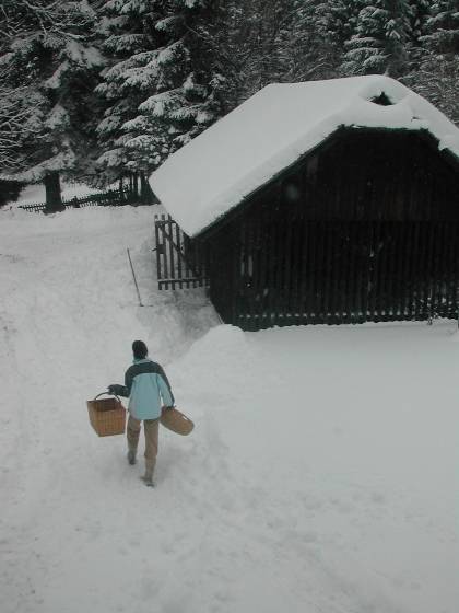 Kärnten 2006 - 