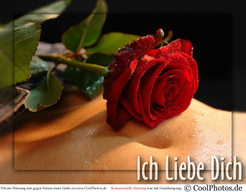 liebe  - 