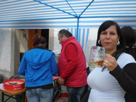 Maibaumfest 2008  01.05. - 