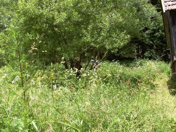 Paintball in CZ - 