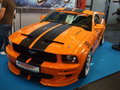 ford mustang - 