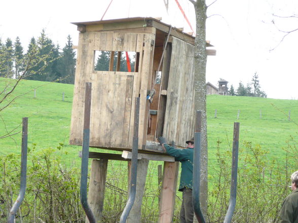 So stöd ma an hochstand auf - 