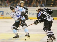 Eishockey - 