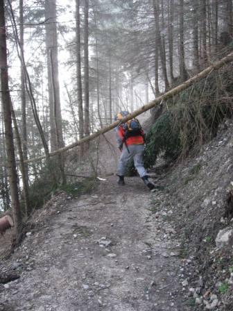 Bußgang nach Mariazell - 