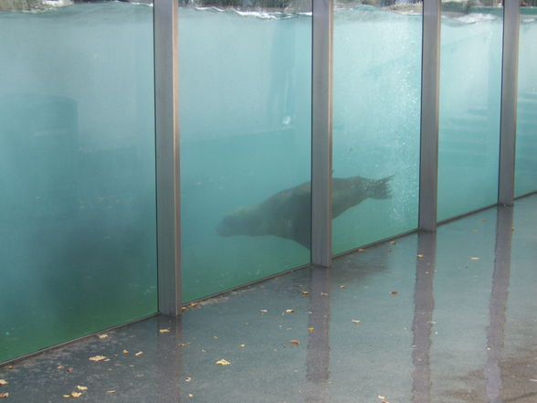 Tiergarten Schönbrunn - 