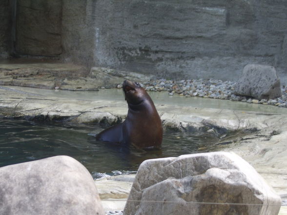 Tiergarten Schönbrunn - 