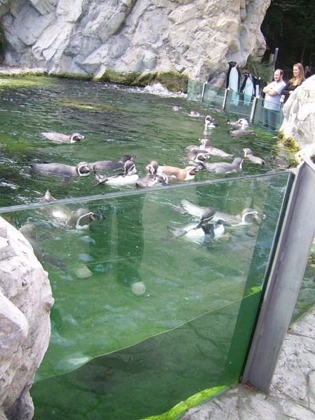 Tiergarten Schönbrunn - 