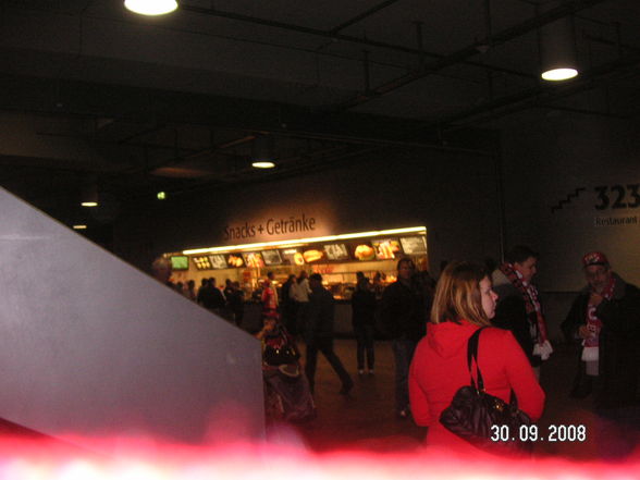 Allianz_Arena2008 - 