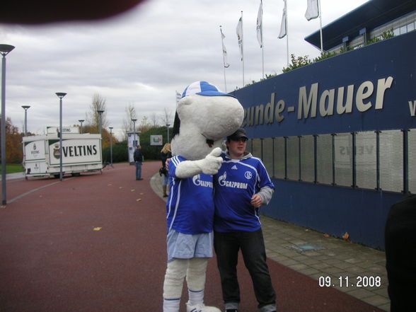 Veltins_Arena2008 - 