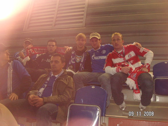 Veltins_Arena2008 - 