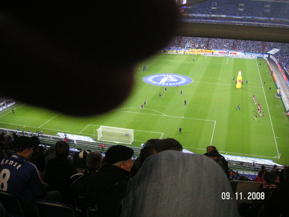 Veltins_Arena2008 - 