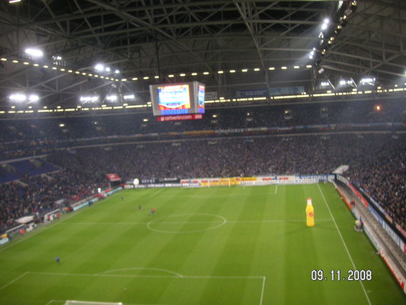 Veltins_Arena2008 - 