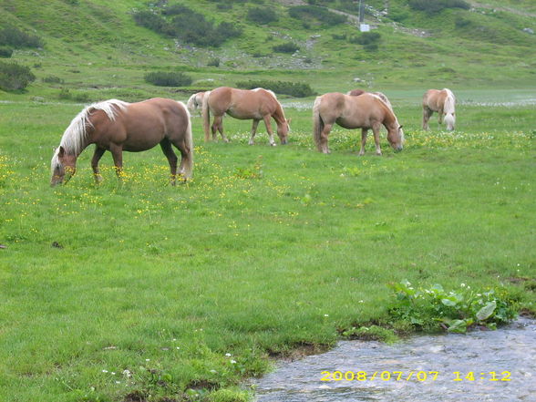 sommerurlaub in obertauern - 