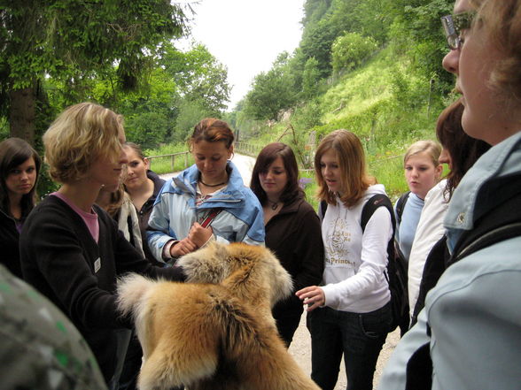 Tiergarten Hellbrunn Salzburg - 