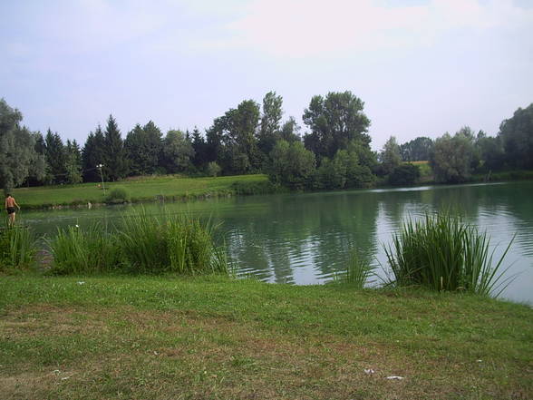 Wiesln am Kräutersee - 