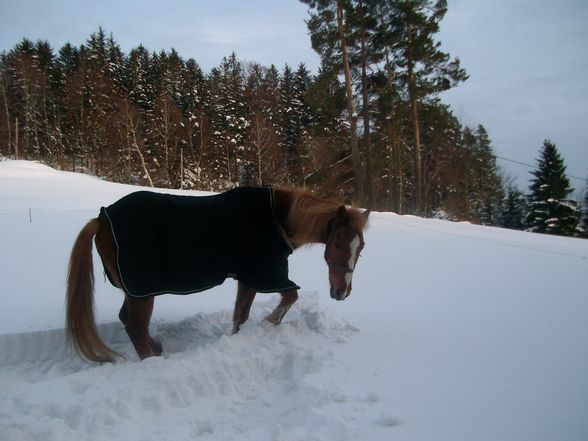 MEINE SÜßE !!! - 